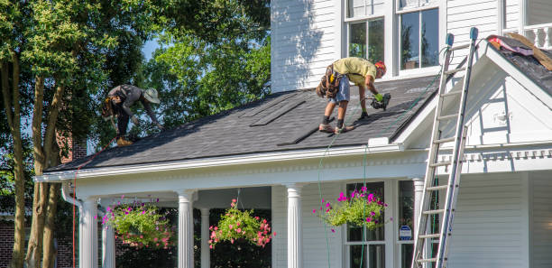 Professional Roofing Contractor in Paris, AR